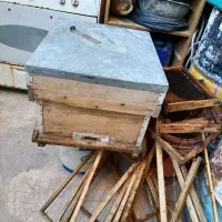 کندوعسل|حیوانات مزرعه|شیراز, شهرک گلها|دیوار