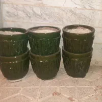 گلدان