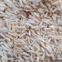 برنج هاشمی|خوردنی و آشامیدنی|سنگر, |دیوار