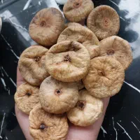 انواع محصولات طارم