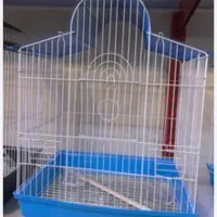 عروس هلندی مولد|پرنده|آبدانان, |دیوار