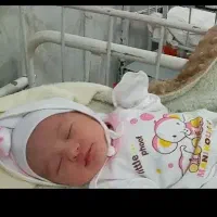 تخمک و رحم جایگزین