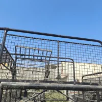 باربند توری پیکان وانت ارتفاع 80|قطعات یدکی و لوازم جانبی|بهارستان, |دیوار