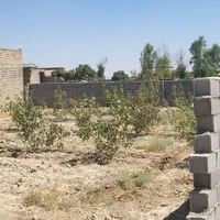 چهاردیواری 600متری صحرابالابدونه هیچ نگرانی|فروش خانه و ویلا|اصفهان, براآن شمالی|دیوار