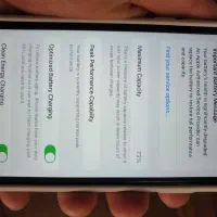 آیفون xr|موبایل|تهران, درختی|دیوار