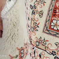 قالی دوازده متری|فرش|مینودشت, |دیوار