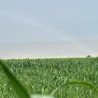 اجاره زمین کشاورزی
