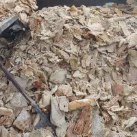 نان خشک مخصوص دامداری