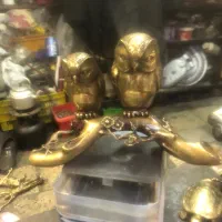 بوف