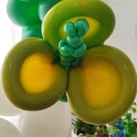 بادکنک آرایی|خدمات پذیرایی، مراسم|شیراز, طلاب|دیوار