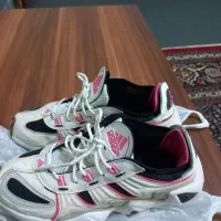 کفش خارجی سایز ۴۰|کیف، کفش، کمربند|پرند, فاز ۴|دیوار