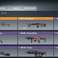 اکانت زیلات