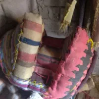 دسته‌بندی حیوانات