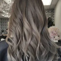 دستیار رنگ و مش کار