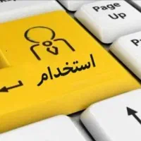 استخدام ویزیتور