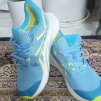 ویتنام اصلی برندریباک|کیف، کفش، کمربند|اصفهان, خرم|دیوار