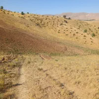 فروش زمین ۴۱۵۳ متری|فروش زمین و ملک کلنگی|سپیدان, |دیوار