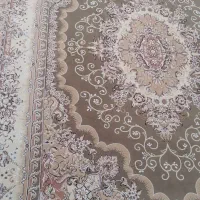 قالی ۹متری|فرش|شهرضا, |دیوار