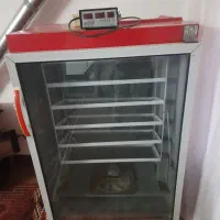 دستگاه جوجه کشی صحرا طیور ۵۰۰ تایی