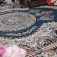 فرش 12 متری در حد نو