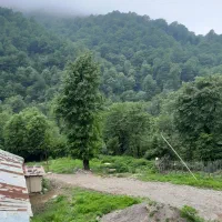 سوئیت جنگلی|اجارهٔ کوتاه‌مدت آپارتمان و سوئیت|شاهرود (اردبیل), |دیوار