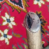 انگشتر شجره