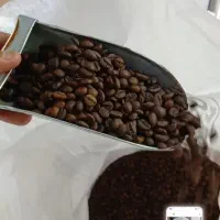 فروش ویژه دان قهوه سوپر شکلاتی فول کافیین