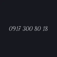 09173008018