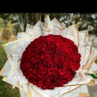 نیازمند سرمایه