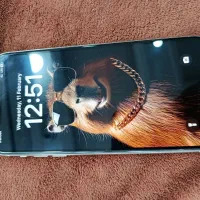 11promax 256 2sim|موبایل|قم, وادی السلام|دیوار