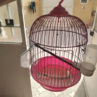 فروش قفس پرنده