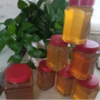 عسل گون طبیعی سپیدشت لرستان