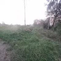 ۵۰۰۰مترزمین مسکونی باغی شالی کامل داخل طرح