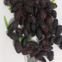 زغال اخته خشک اعلا