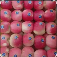 بسته بندی وسورت در سردخانه|استخدام صنعتی، فنی، مهندسی|ارومیه, |دیوار