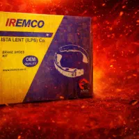 لنت دنا باضمانت کتبی