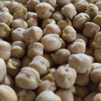 خشکبار رایان