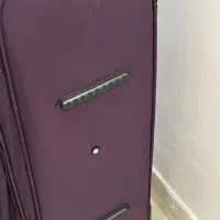 چمدان نو|کیف، کفش، کمربند|رشت, باهنر|دیوار