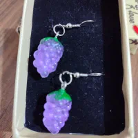 گوشواره نو|بدلیجات|تهران, حبیب الله|دیوار