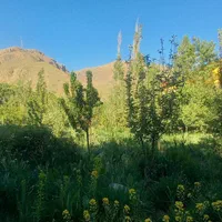 خونه باغ هزاردشت آبعلی|فروش خانه و ویلا|آبعلی, |دیوار