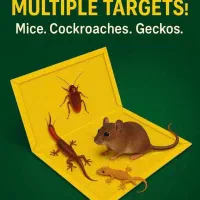 تولید کننده دست اول چسب موش کتابی «شماره یک 1»