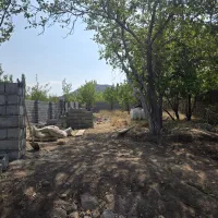زمین دهبکری خیابان جنگلبانی