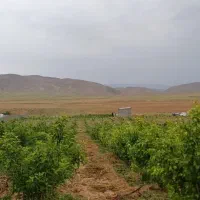 فروش-زمین