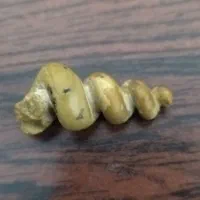 سنگ استثنایی|کلکسیون اشیاء عتیقه|تهران, قیطریه|دیوار