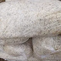 تفاله چغندر