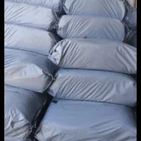 حراج ذرت علوفه بسته بندی برای گاو و گوسفند