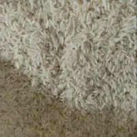 عمده فروشی برنج|خوردنی و آشامیدنی|ساری, |دیوار