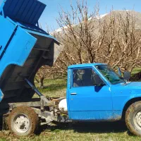 پهن گاو و گوسفند