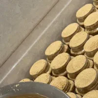 سویق چاقی صورت