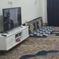 دوجفت پشتی قالی به رنگ سرمه ای نونو